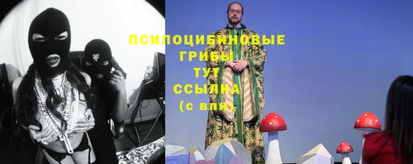 бошки Приозерск