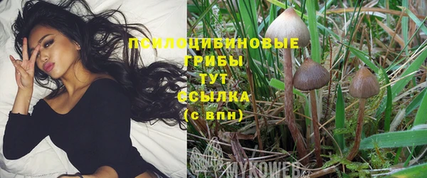 бошки Приозерск