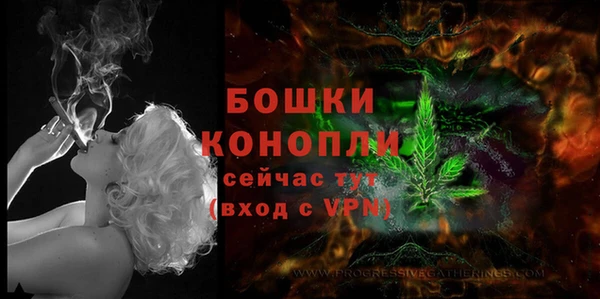 Альфа ПВП Пролетарск
